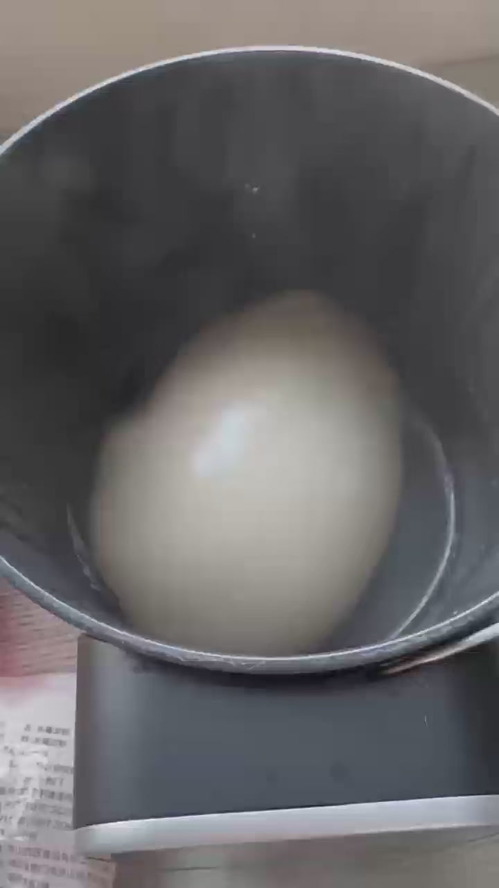6L Swallow & rice cooker